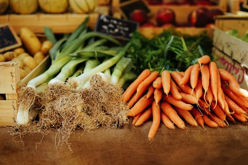 Frutteto romagnolo in raccolta