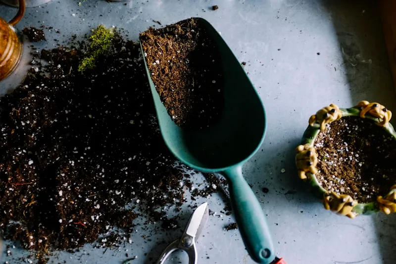 Potatura con piattaforma in frutteto