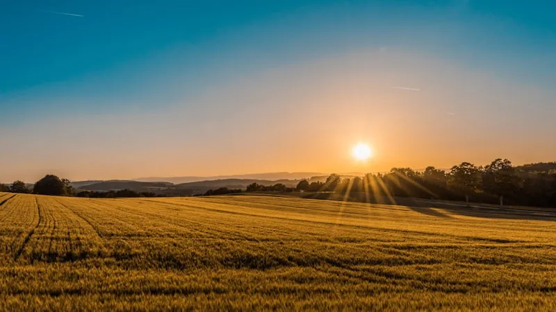 Macchina agricola in rimessaggio invernale