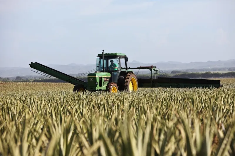 Trattore e macchina semovente in campo